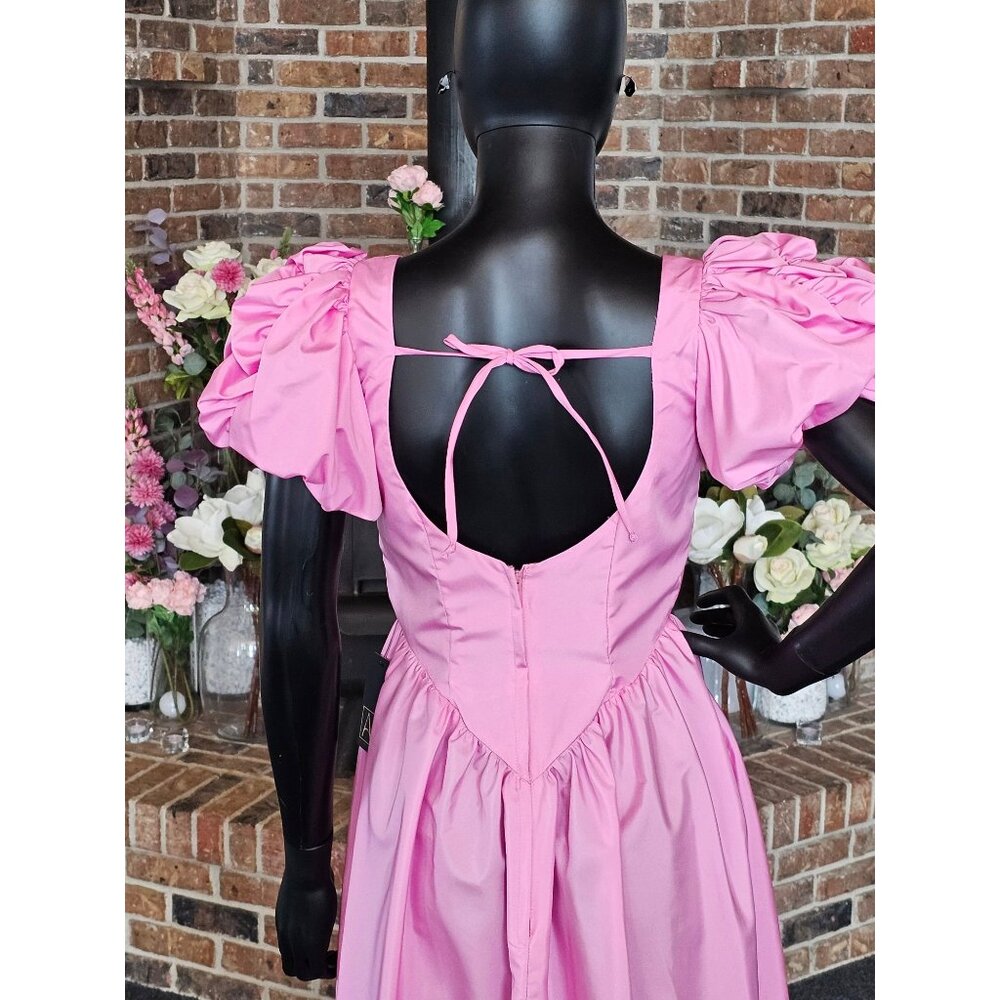 Vintage Bubblegum Pink Antebellum Waist - Picture 4 of 4